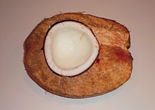 Wild Coconut cut open - Sheva Apelbaum