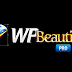 Download Beautify Pro WordPress plugin Free