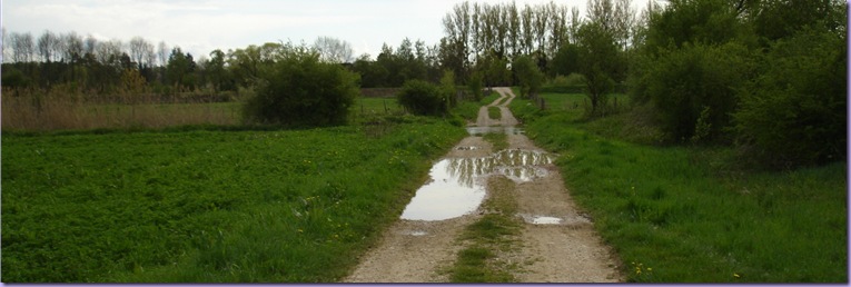 mini_DSC07608