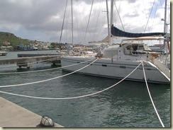 IMGP2410