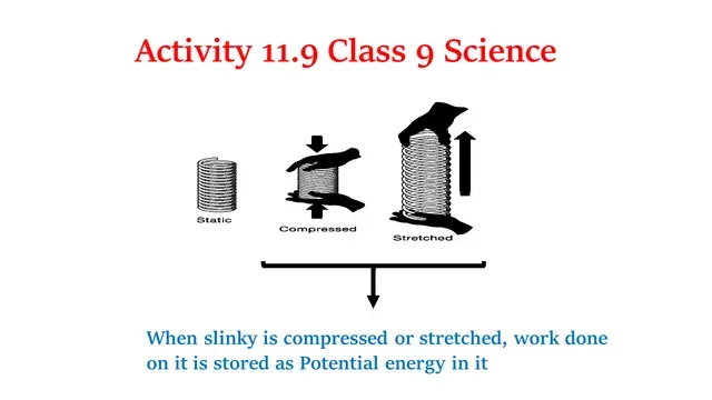 Activity 11.9 Class 9 Science Chapter 11 Work and Energy