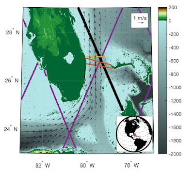 Fuerte debilitamiento de la Corriente del Golfo observado en el estrecho de Florida durante las últimas cuatro décadas