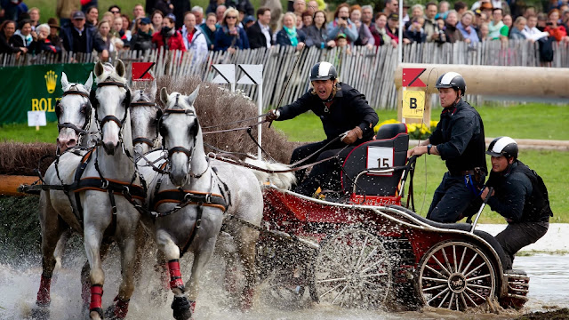 Caballos de Carreras