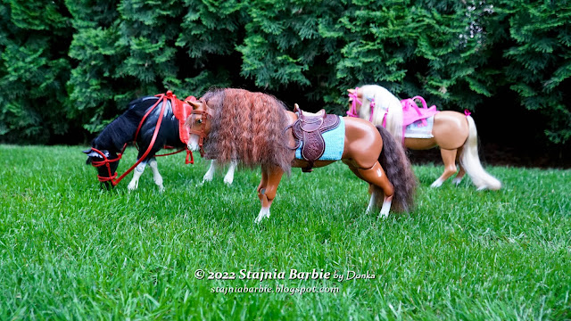 Play BIG horse and Barbie horses