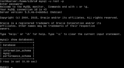 Debian mysql root password