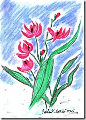 401 Red Flowers