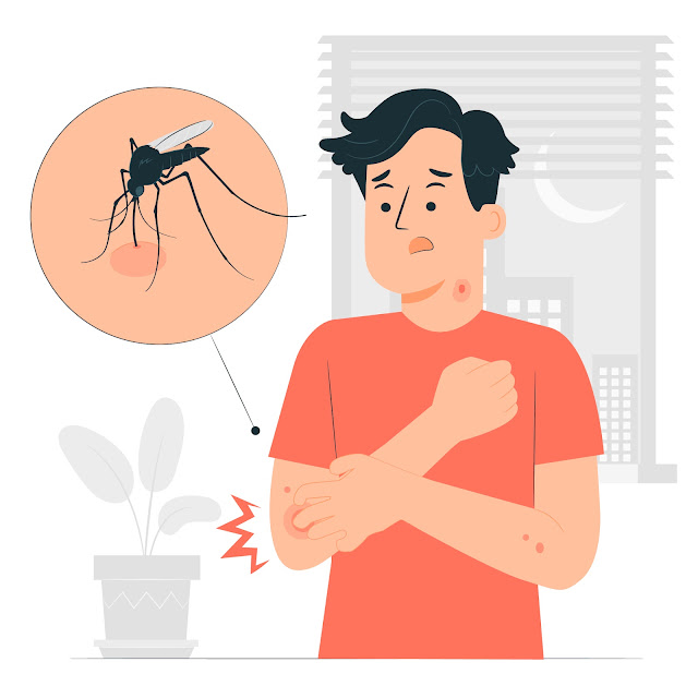 Home Remedies for Dengue