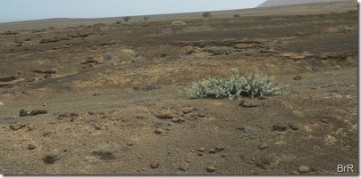 terra_boa_3