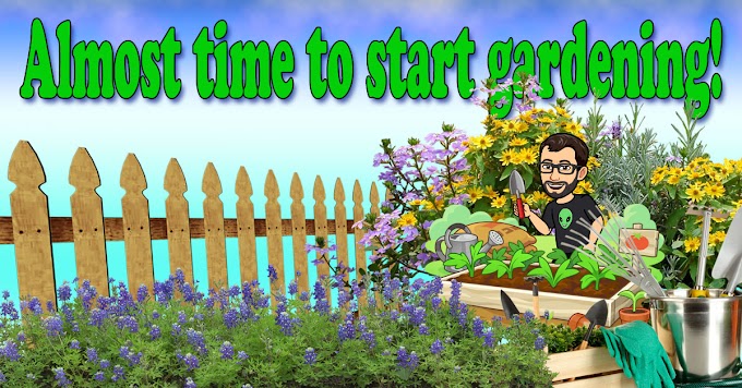 10 Fun Ways to Start Gardening!