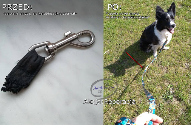 smycz dla psa DIY naprawa - Akcja:Reperacja u Adzika