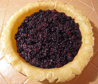 Berry Pie Filled without Top Crust