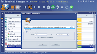 Ant Download Manager Pro 2.0.0 Full Latest Version