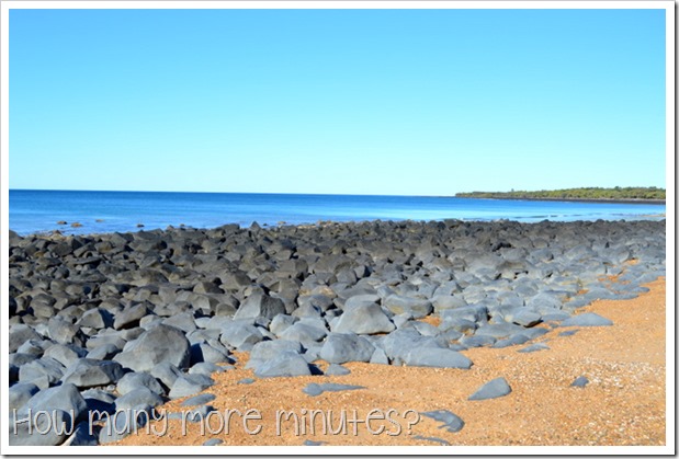Mon Repos Turtle Centre | How Many More Minutes?