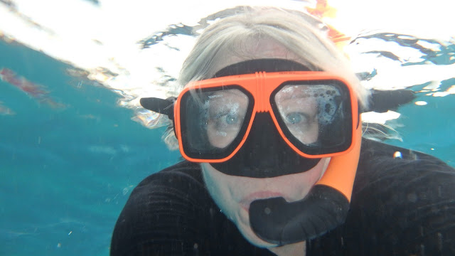 A picture of me in snorkel and mask below the surface of the water