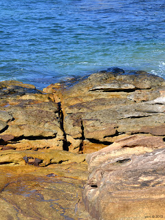 golden manly rocks