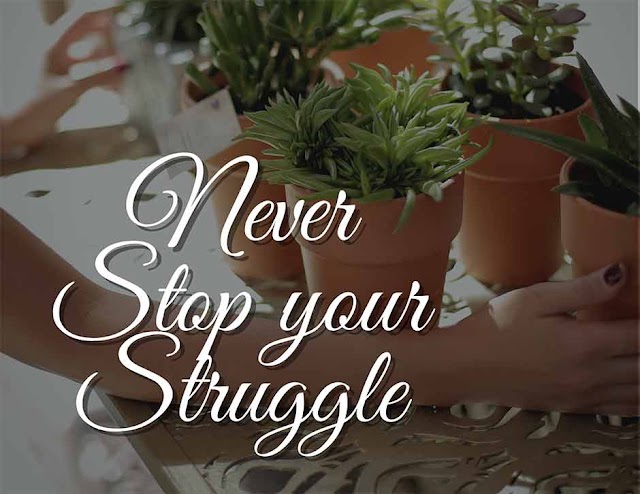 Never Stop Your Struggle