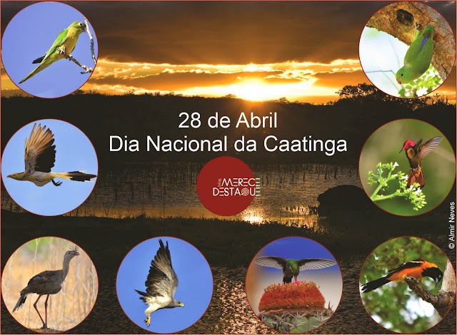 28 de Abril, Dia Nacional da Caatinga