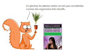 http://kidiscience.cafe-sciences.org/articles/drole-de-plante-mimosa-pudica/
