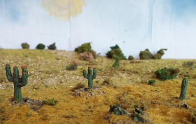 MAW99 Cacti picture 4