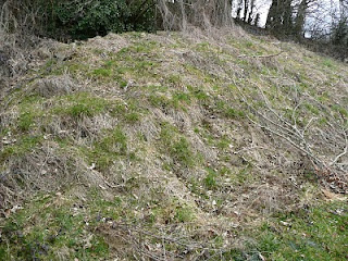 Refuge LPO : Ligue pour la Protection des Oiseaux - GRETIA - VivArmor Nature - Les Jardins de Noé : Talus