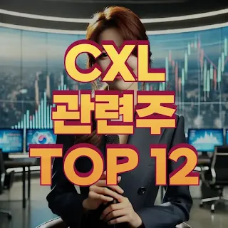 CXL관련주-TOP12