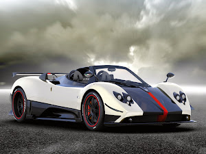 Pagani Zonda Cinque Roadster 2010 (1)