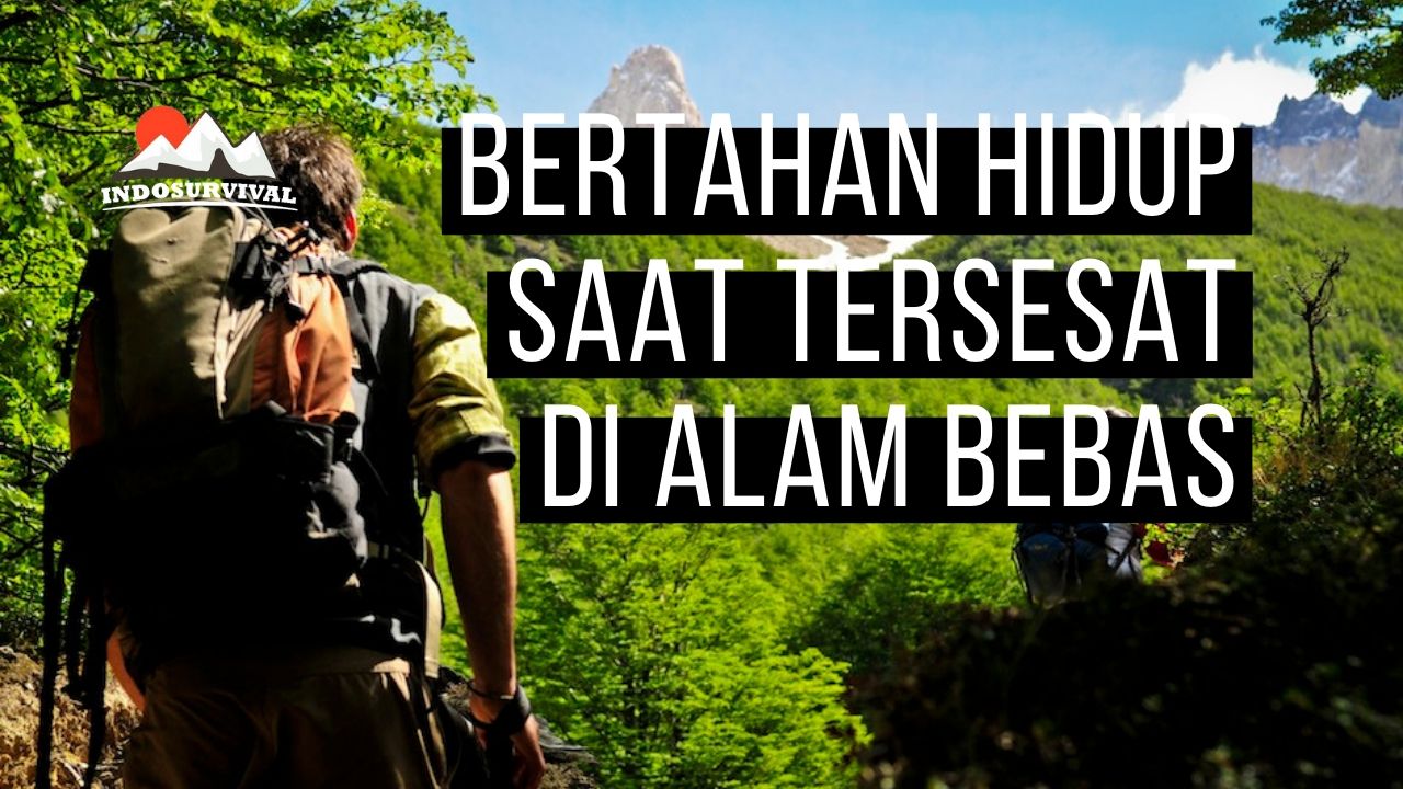 cara bertahan hidup saat tersesat di alam liar