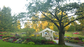 Rose Garden, flowerbeds with cherry tree, Stanley Park, Vancouver