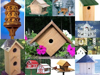 Big Bird House Plans