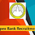 Apex Bank Recruitment 2023 – 15 Assistant Manager Vacancy