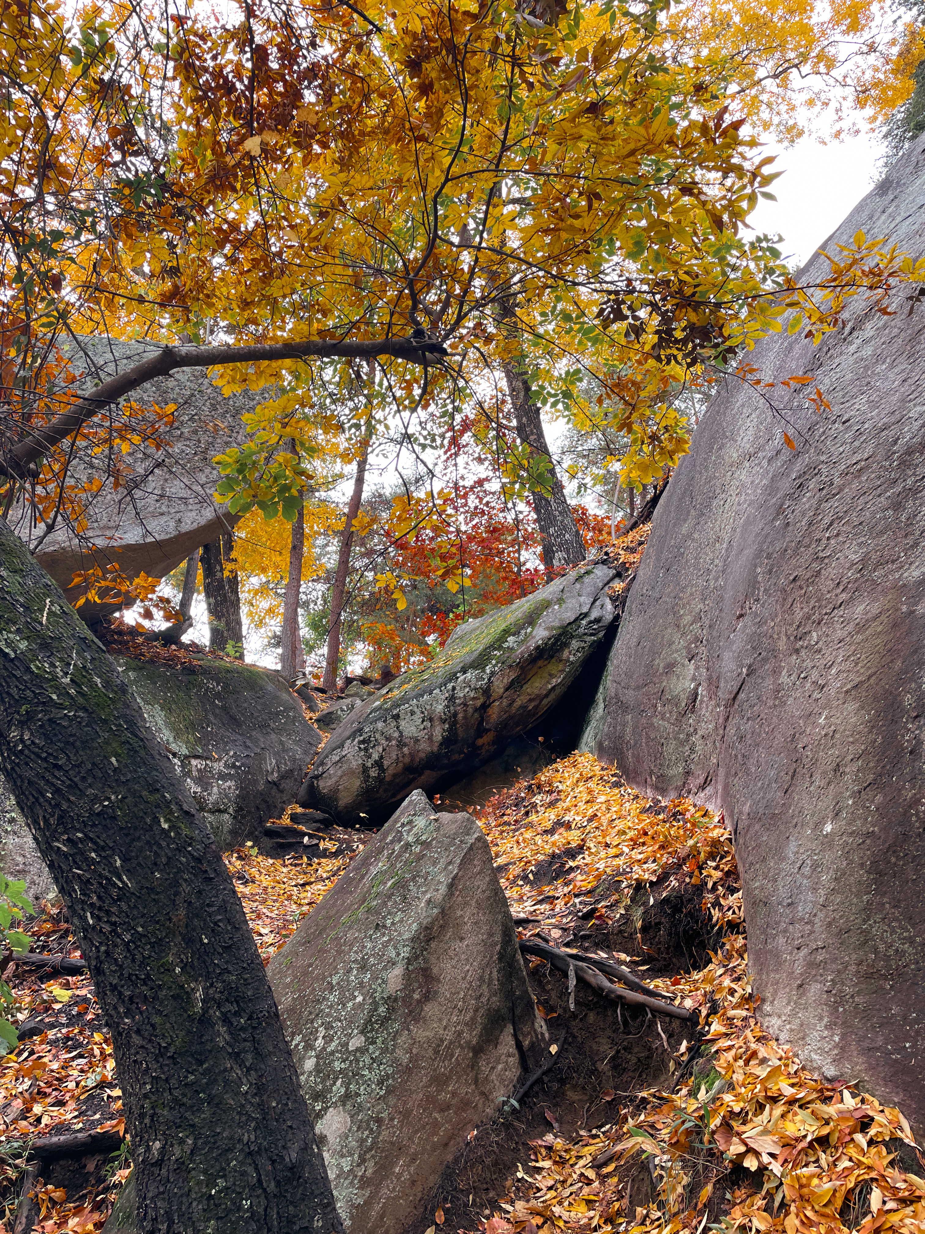 Big Rock Mountain