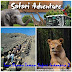 Paket Wisata Bromo Taman Safari 2 Hari 1 Malam | Wisata Bromo Tour Travel
