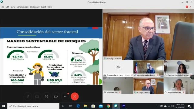 Seminario internacional destaca rol de los bosques para una reactivación sostenible