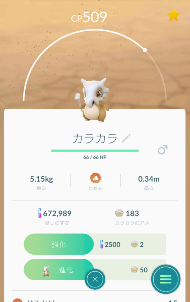 ポケモンgo 大田区 オタク ポケモンgo No 104 カラカラ Cubone