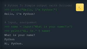 python programming language