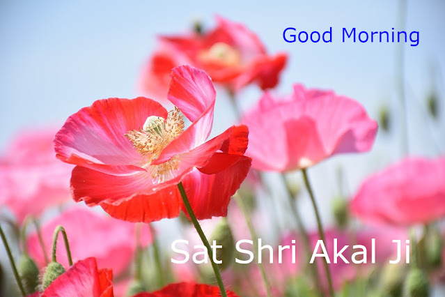 Sat Shri Akal Ji Good Morning