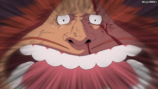 ワンピース アニメ 278話 ハグワール・D・サウロ Jaguar D. Saul 20年前 オハラ バスターコール | ONE PIECE Episode 278 Ohara