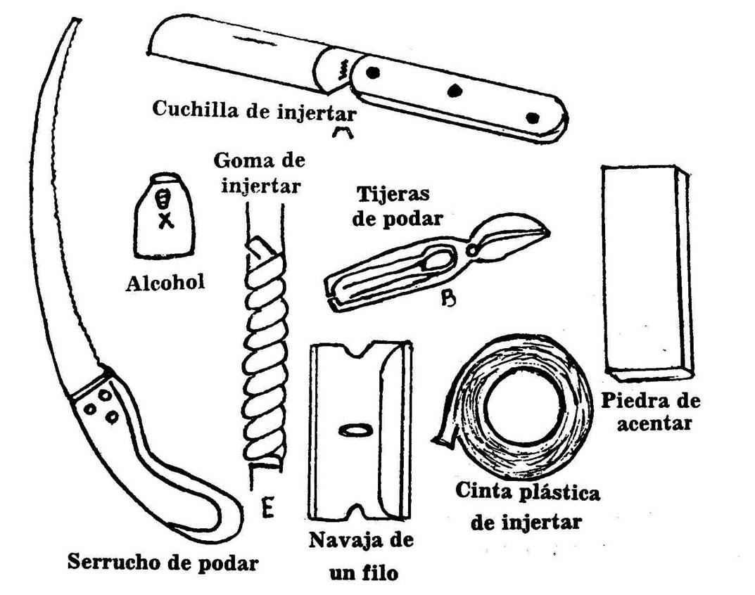 Materiales para injertar