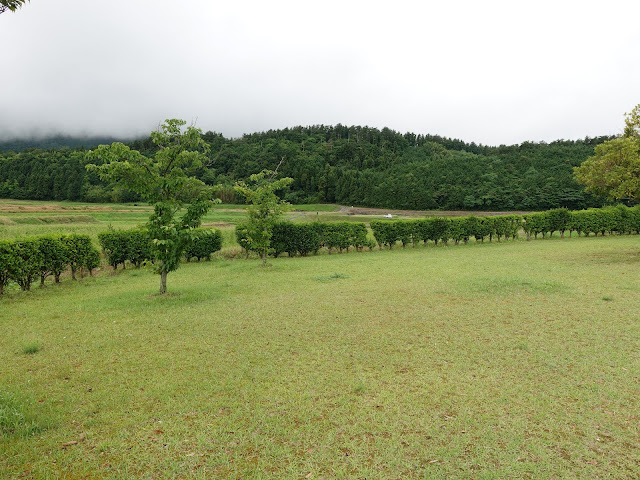 鳥取県西伯郡大山町宮内　仁王堂公園