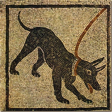 Cave canem
