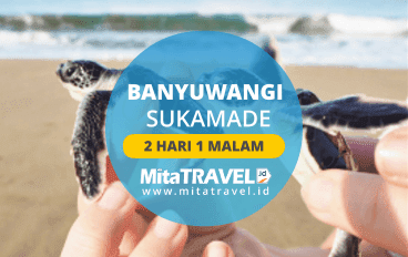 Paket Wisata Sukamade Banyuwangi 2 Hari 1 Malam