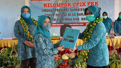 Desa Banjar Sari Wakili Banyuasin Lomba UP2K Tingkat Provinsi