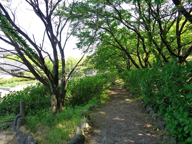 伯耆古代の丘公園