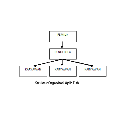 APIH FISH: Tentang Kami