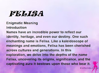 meaning of the name FELISA