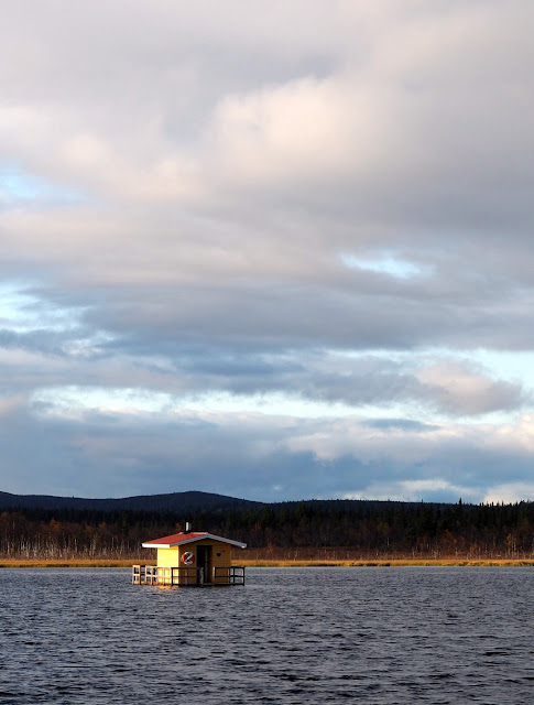 Lannavaara sweden, aurora borealis, noorderlicht lapland, herfst in lapland, aurora mountain lodge, rendier, korhaan, ruska, Lainio rivier, lingonberry, gele kruipbraam, Kuormakka mountain, Audrey Vanpoucke, beer, lynx, wolf, veelvraat, eland, lapland gastronomie, lapland food, sauna lake, husky, Viikusjarvi, sami, Pessinki Fjällurskog,  noorderlicht, joik, yellow cloudberry, jeneverbes, wilde paddenstoelen