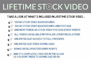 Lifetime Stock Video Review