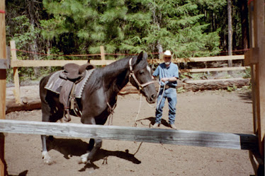 Horsin Around
