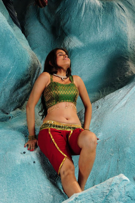 sheena new from nandeeswarudu, sheena spicy cute stills