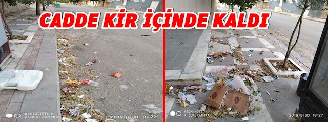 Kırmızıpınar Mahallesini çöpler kapladı